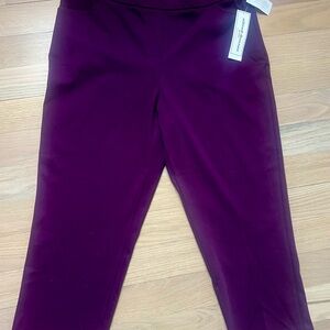 Alfred Dunner Petite PXL Plum Pants – Urban Legend Stretch Pull-On